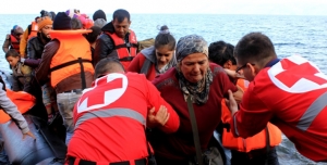 Federação, Comité e Sociedades