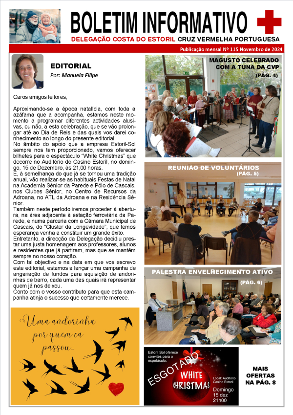Boletim Informativo 115, Novembro 2024