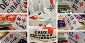 Recolha de alimentos nas lojas Continente resulta em mais de 170 mil refei&ccedil;&otilde;es
